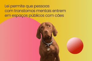 foto do cachorro caramelo